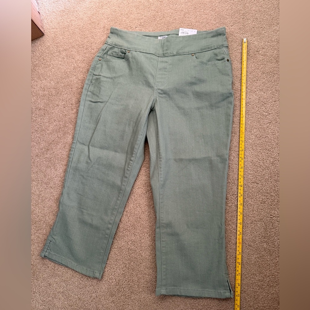 Croft & Barrow Sage Green Trousers